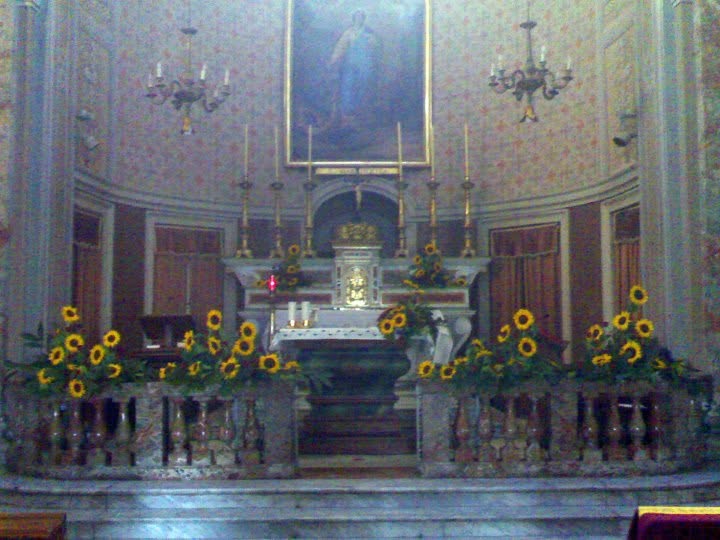 Girasoli · Veduta della cerimonia