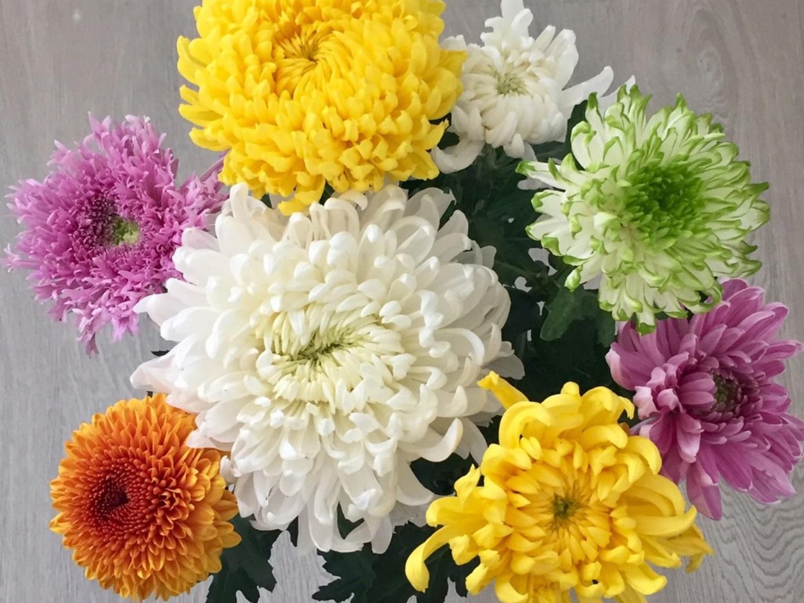 Crisantemi bianchi, gialli, verdi, rosa e arancioni