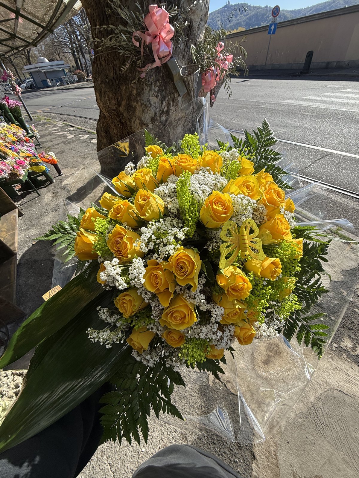 Fiori da regalare · I fiori di Marina